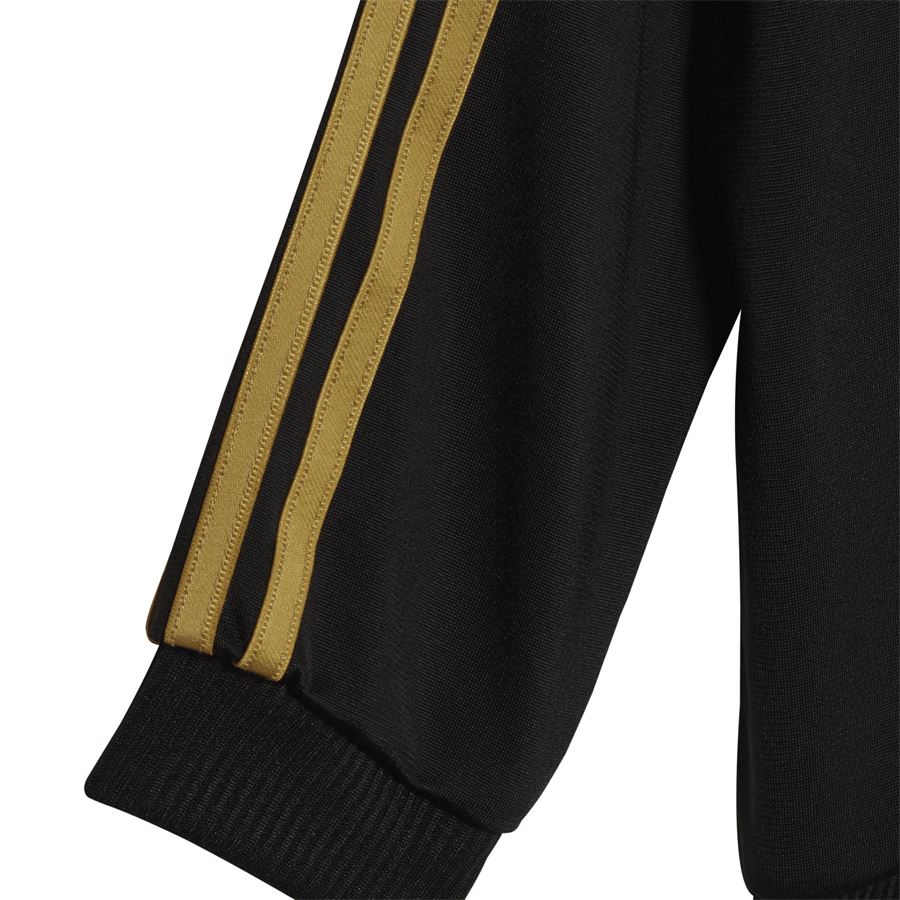 Track suit Essentials Shiny Hooded Adidas | HR5874X